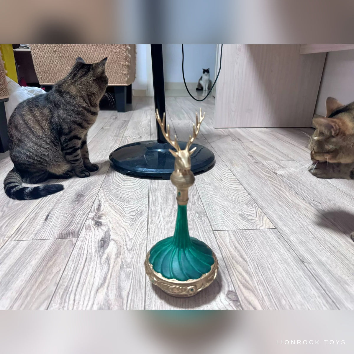 02_scale_floor_cats